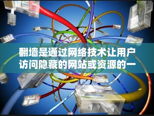 翻墙是通过网络技术让用户访问隐藏的网站或资源的一种方式,通常使用VPN或虚拟网络。以下是一些可以帮助用户访问隐藏网络资源的软件及其使用方法 翻墙是通过网络技术让用户访问隐藏的网站或资源的一种方式,通常使用VPN或虚拟网络。以下是一些可以帮助用户访问隐藏网络资源的软件及其使用方法