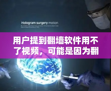 用户提到翻墙软件用不了视频，可能是因为翻墙软件无法识别或处理视频内容。以下是可能的原因及解决方案