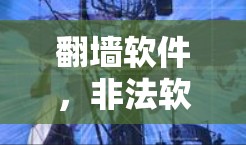 翻墙软件,非法软件下载的双刃剑